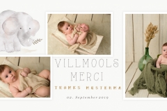 BabyElephantBirthAnnouncementx