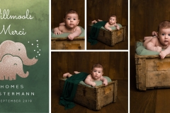 MerrierMoreHolidayCard-5x7-FrontX